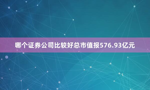 哪个证券公司比较好总市值报576.93亿元