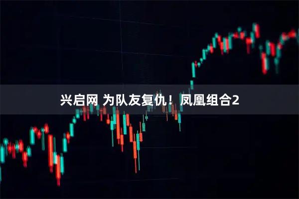 兴启网 为队友复仇！凤凰组合2