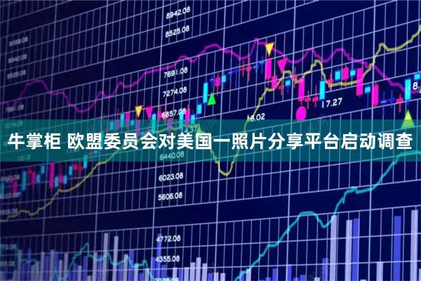 牛掌柜 欧盟委员会对美国一照片分享平台启动调查