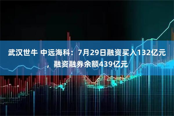 武汉世牛 中远海科：7月29日融资买入132亿元，融资融券余额439亿元